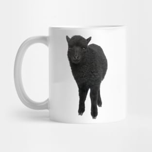 BLACK SHEEP Mug